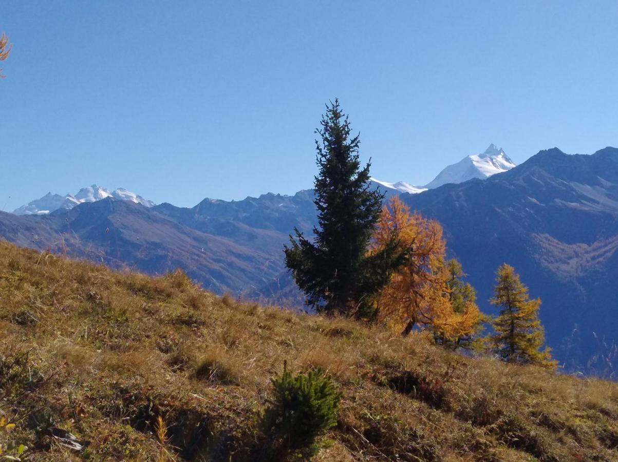 Chalet Waldrand Inden Zewnętrze zdjęcie